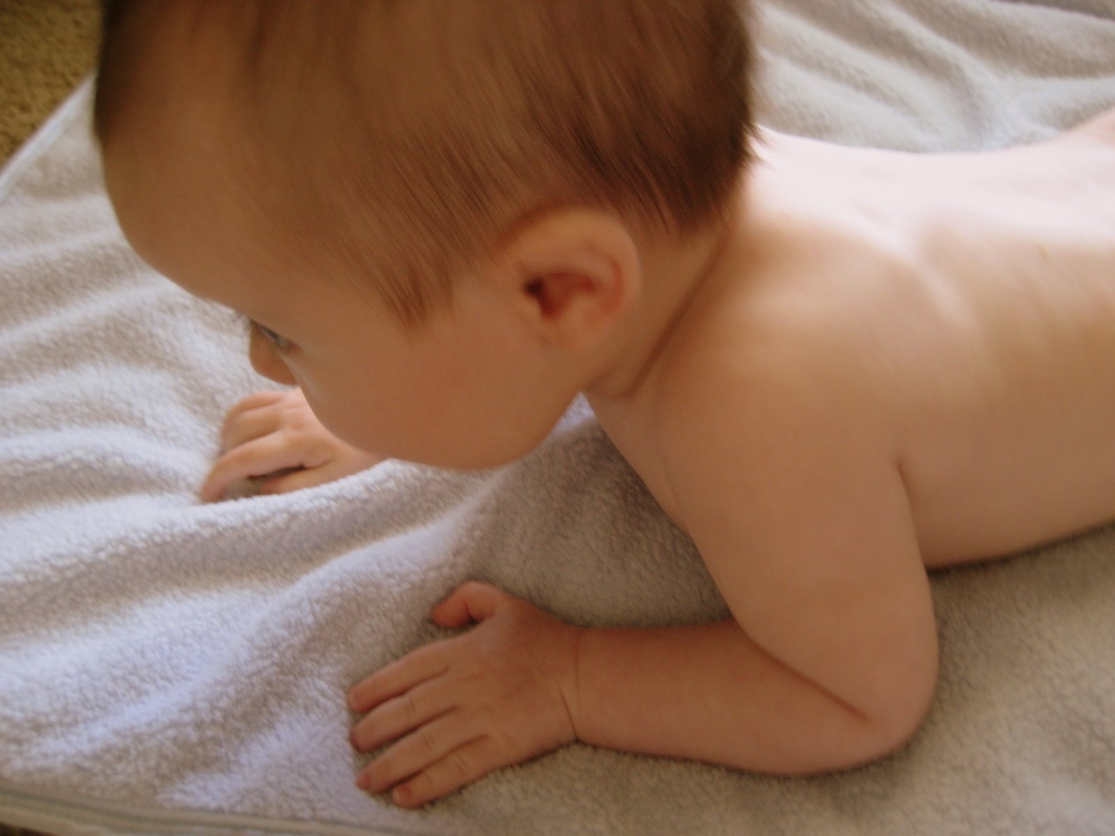 [IMG_8921(2).jpg]