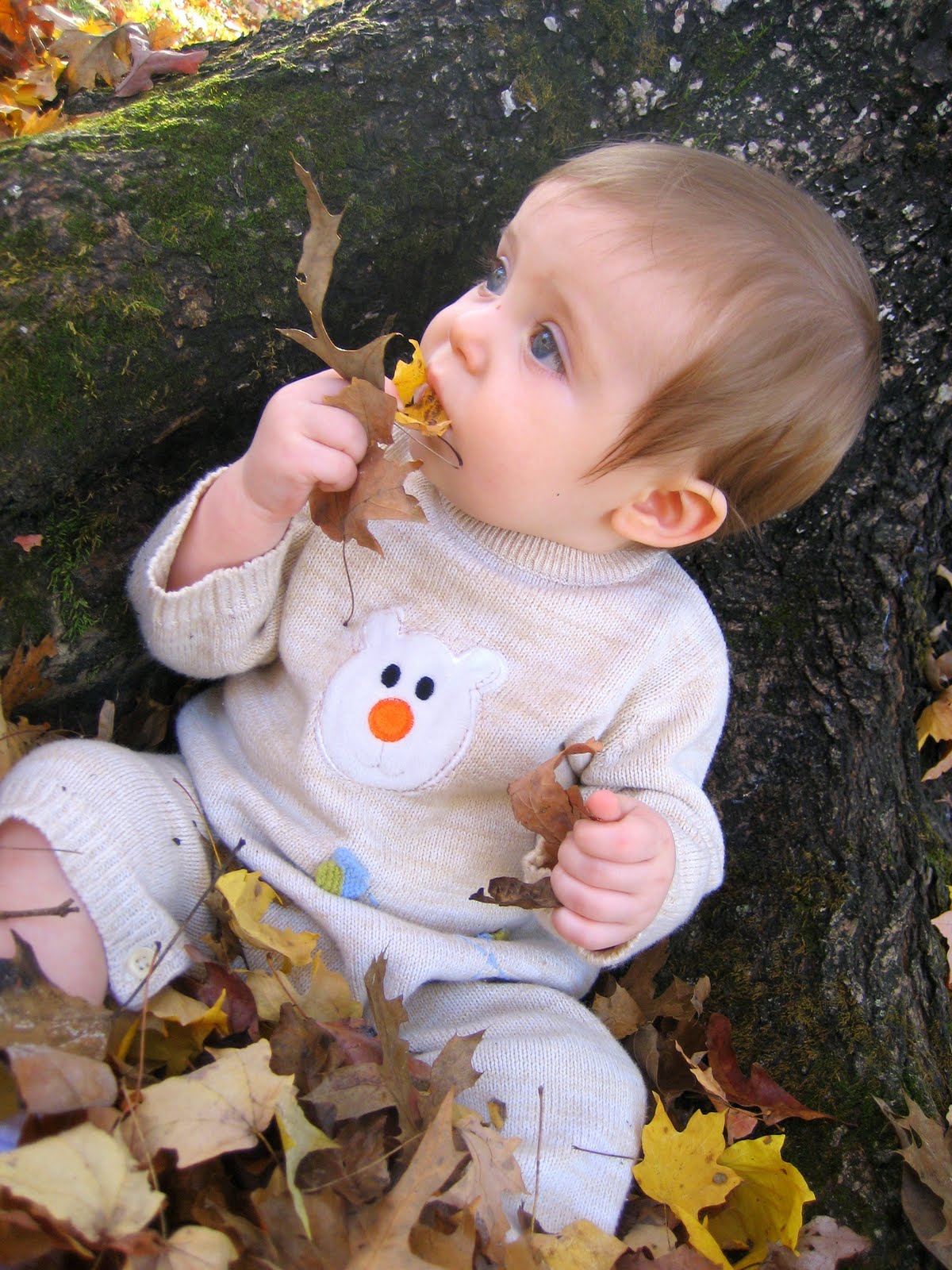 [IMG_2272.JPG]