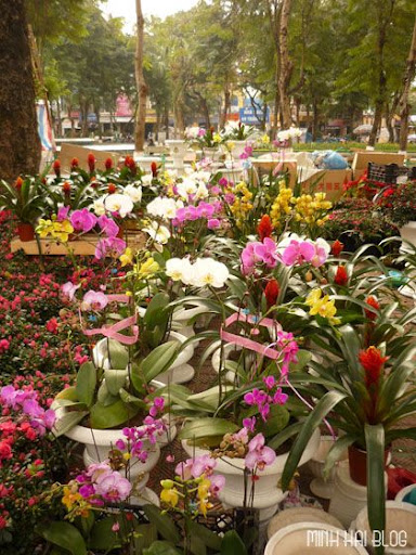 Du xuân