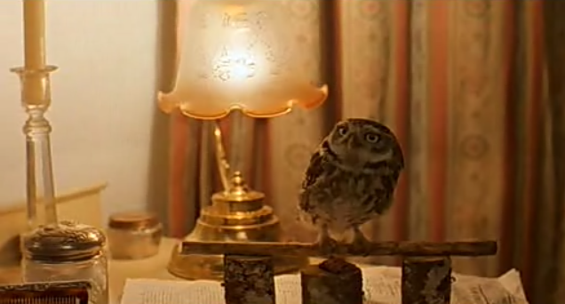 Karen Blixen's owl in the movie "Out of Africa." British