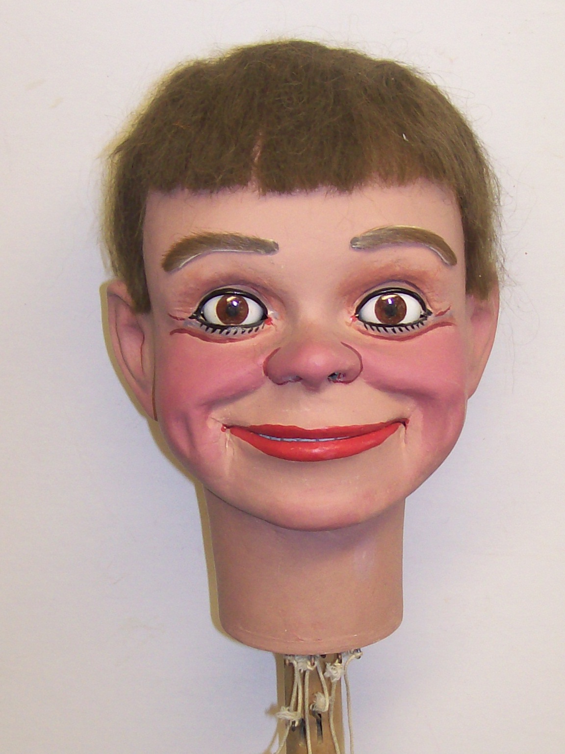 Mr. D's Daily Ventriloquist Journal Introducing...