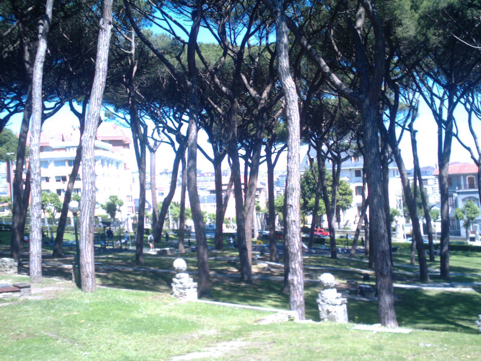 playas y paseos por la costa PARQUE LOS PINARES DEL SARDINERO EN SANTANDER