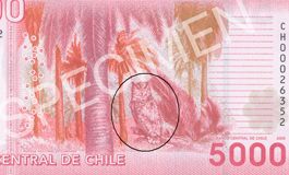 [buho+cospiraci&Atilde]