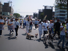 PROTESTA EN SAN BORJA POR GRINGO