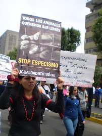 LA CAMINATA DEL 30 DE AGOSTO