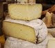 Wealth of Cheeses