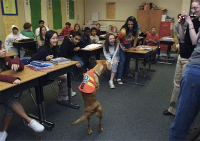 Trained dog - will to live Trained dog