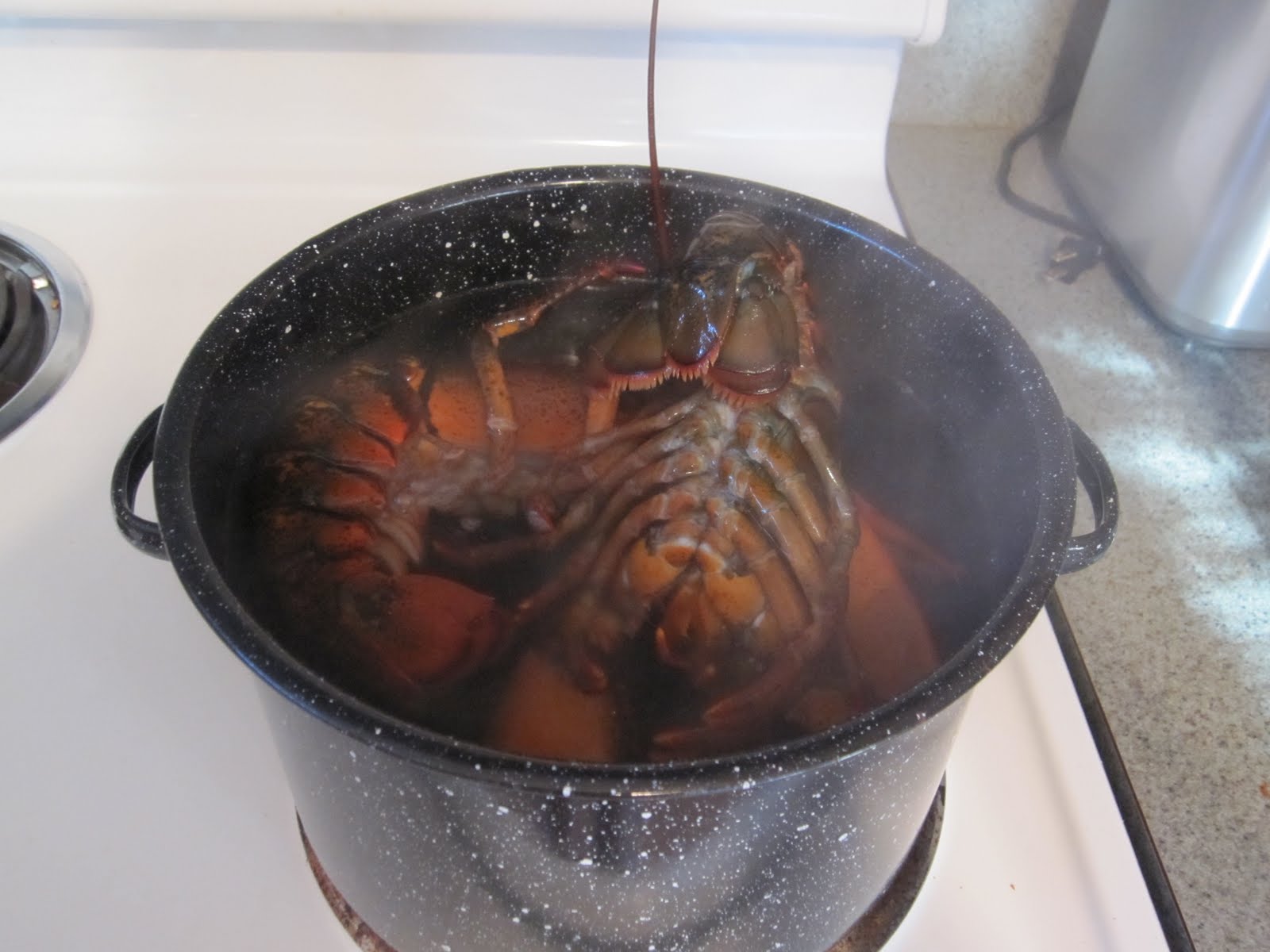 The Road to Grate... A Great American Cook Blogging through Jonathan Waxman's Cookbook Warm