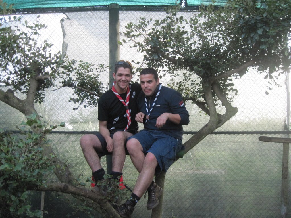 [IMG_0982.JPG]