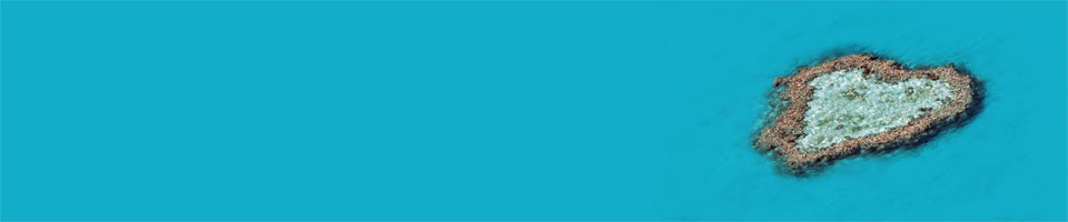Whitsundays News. Local News from around and about the Whitsundays