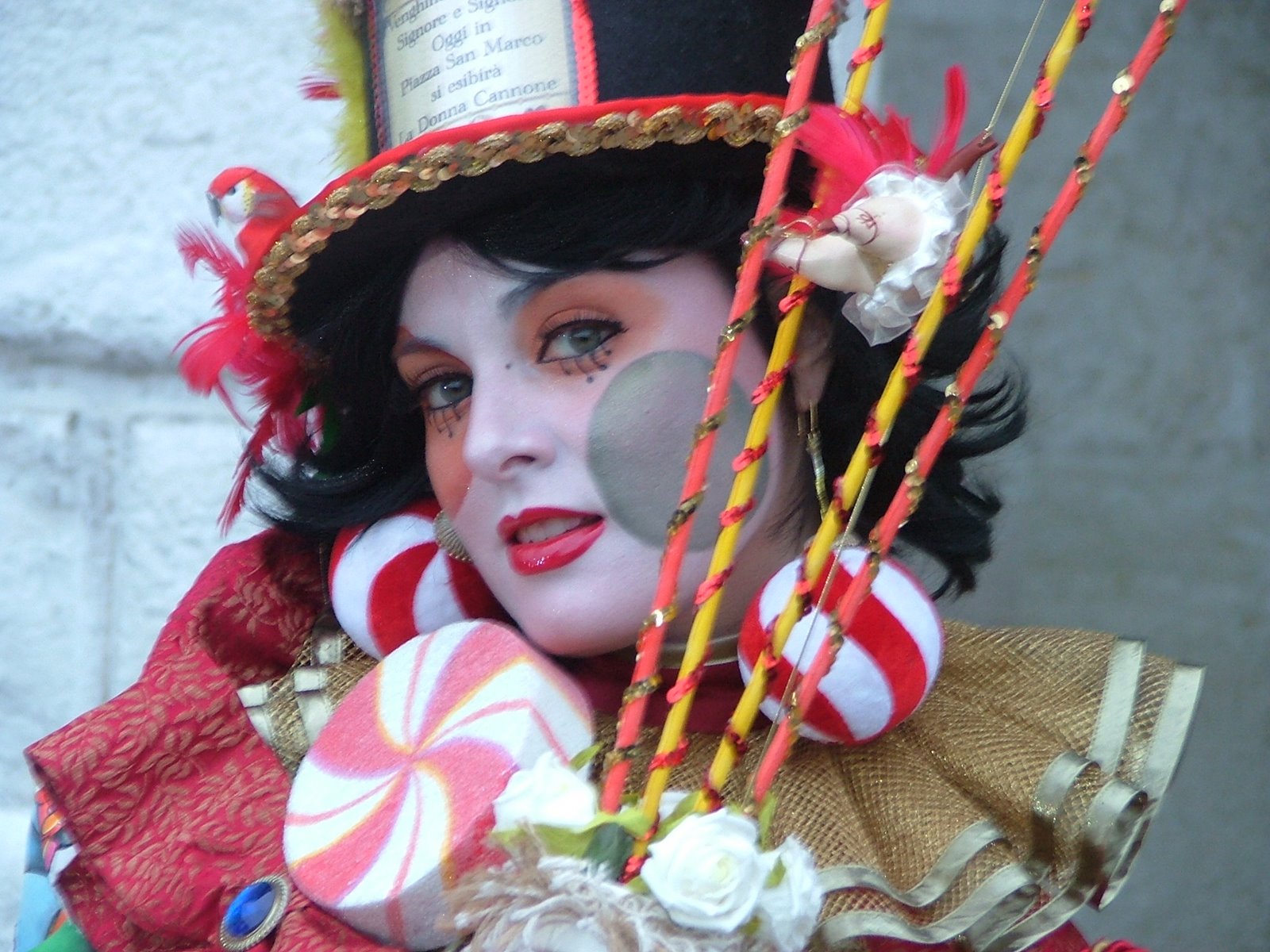[DSCF8744.JPG]