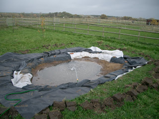 Filling the new pond Filling the new pond