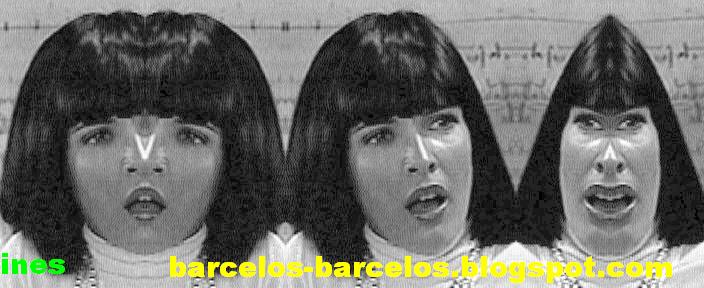 [ines+castel-branco.JPG]