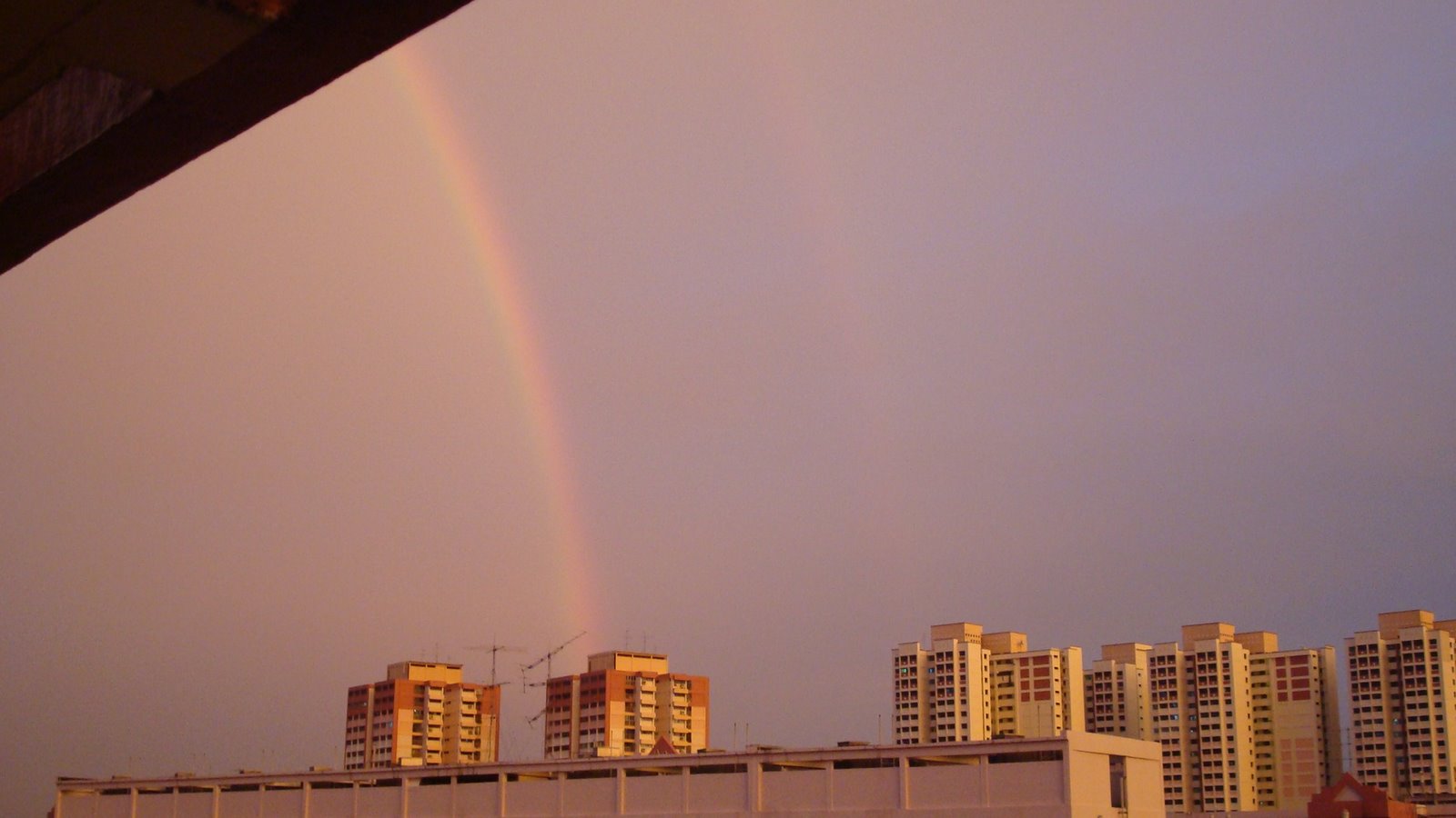 [DSC04987.JPG]