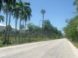 El Palmar