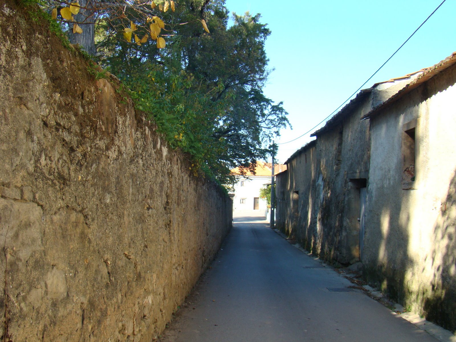 [DSC04160.JPG]