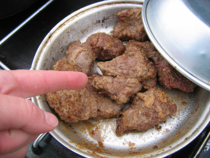 [Pointing+at+moose+dinner.JPG]