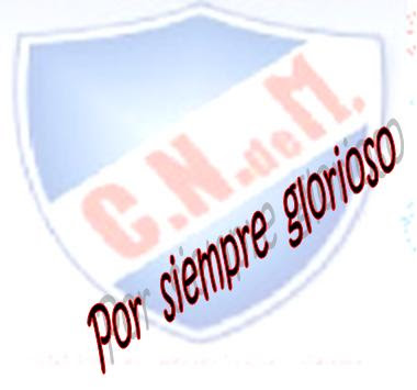 bolso bolso