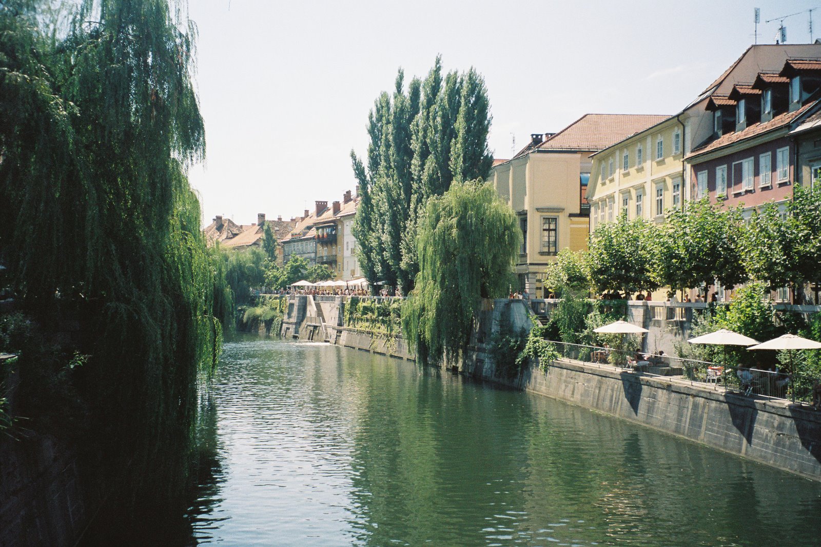 [F1000013.JPG]