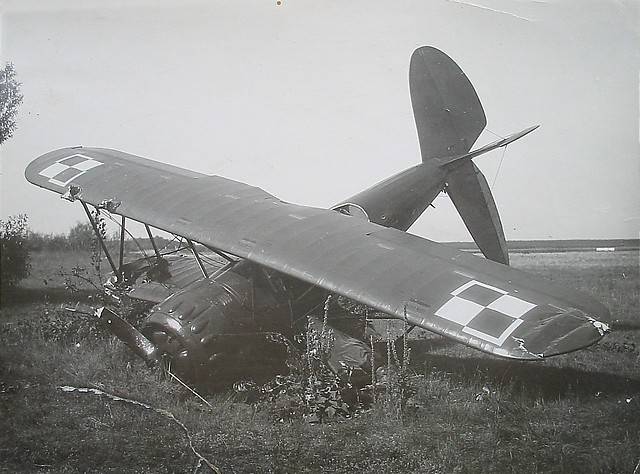 [polish_fighter_down.jpg]