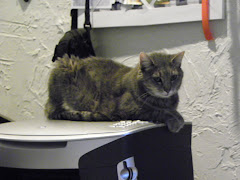 Holding down the secretary's job