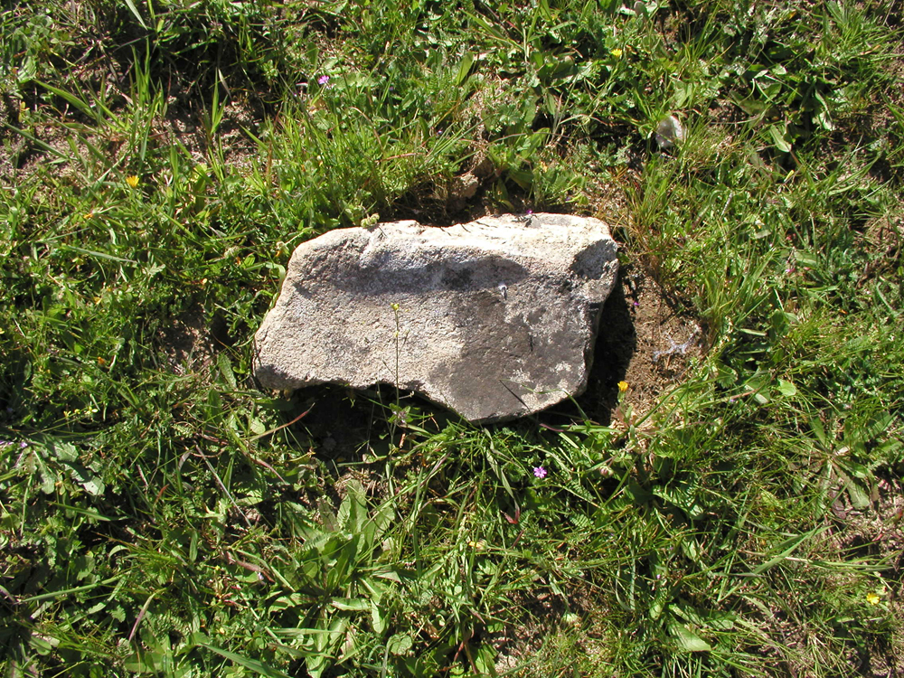 [P1010031.jpg]