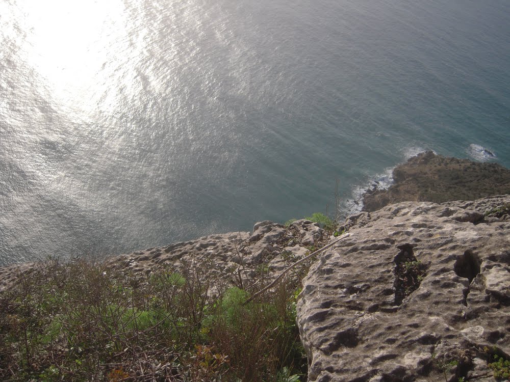 [DSCN1984.jpg]