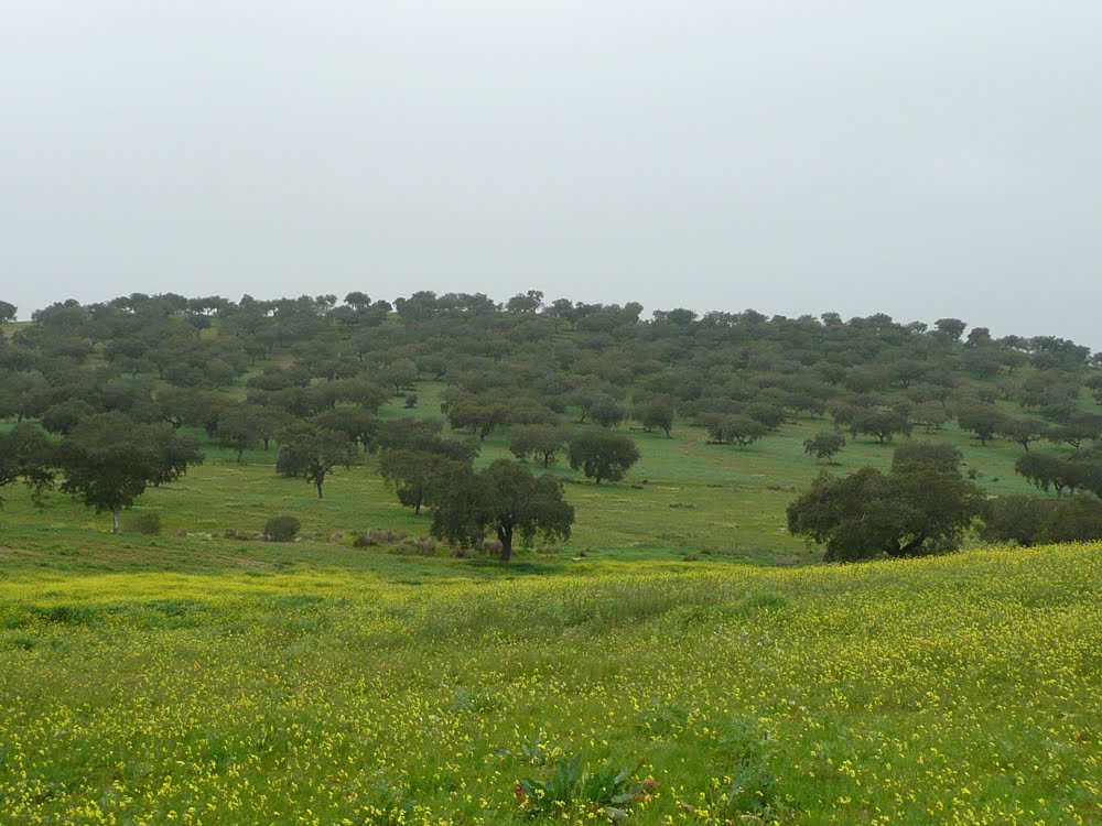 [P1040094.jpg]