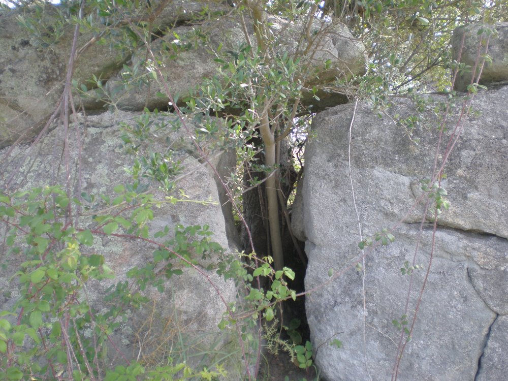 [P5030176.jpg]