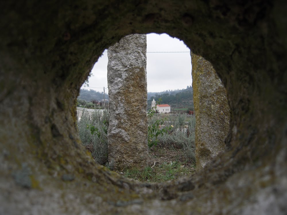 [DSCN1018.jpg]