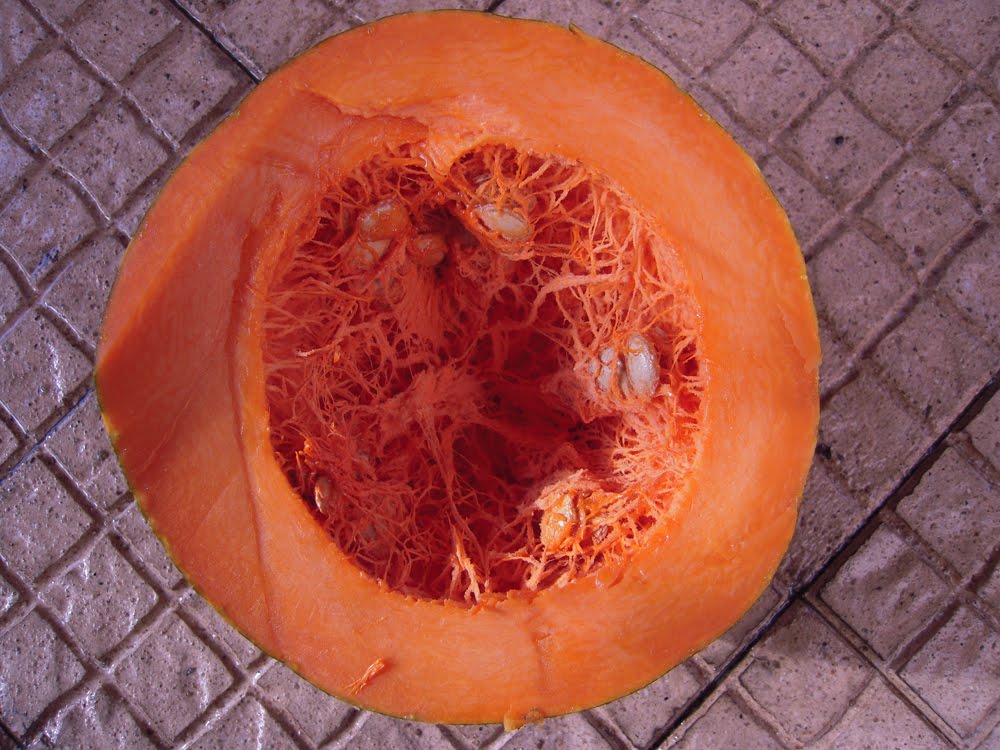 [DSCN1503.jpg]