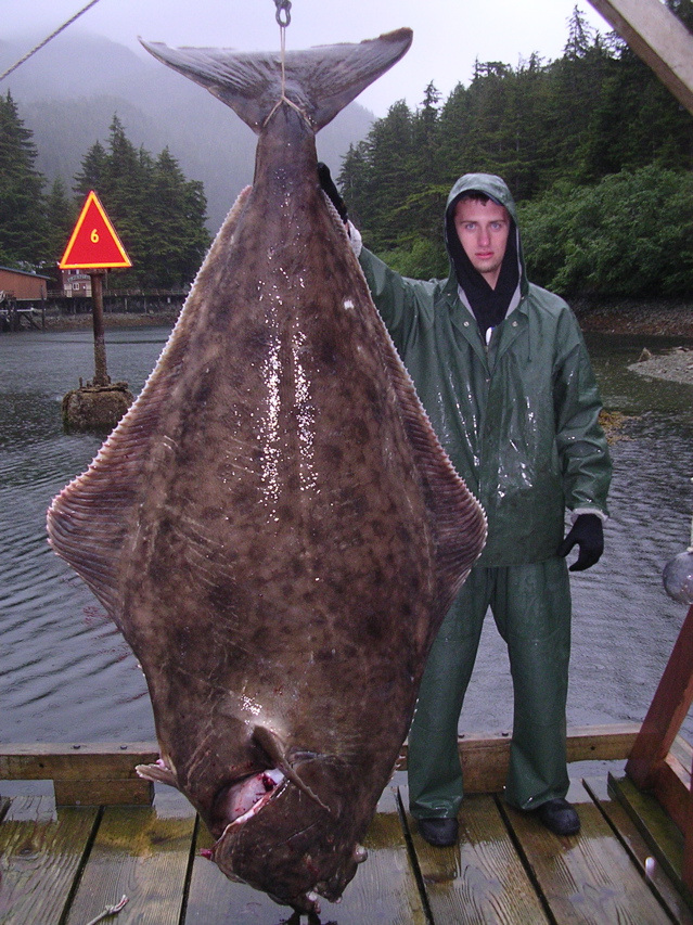 http://4.bp.blogspot.com/_TSvly6B1EI0/R1OPjvHIsCI/AAAAAAAAAag/TWp0N3ZLMcw/s1600-R/peixe_enorme.jpg