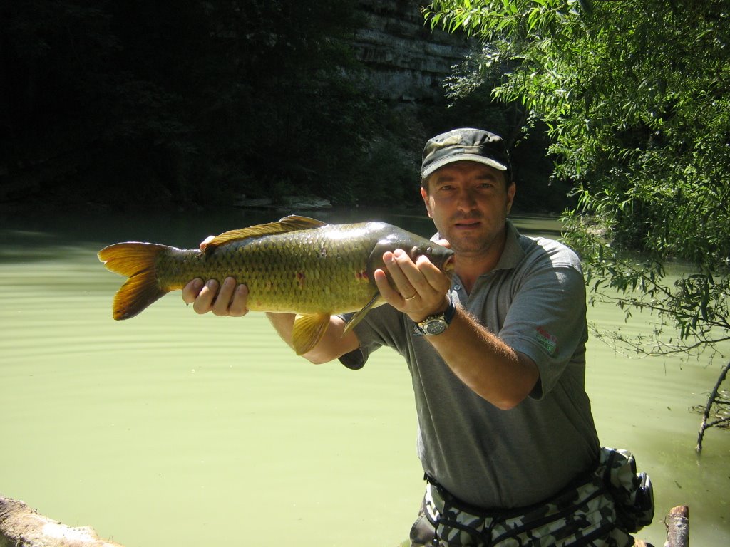 [5-7-08+bidente+033.jpg]