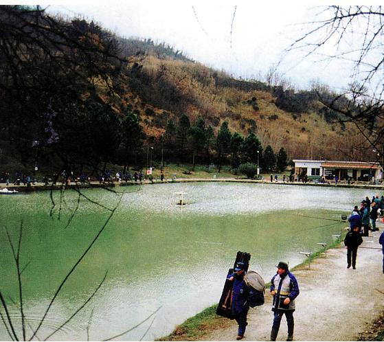 [LAGO+FAETANO+1998.JPG]