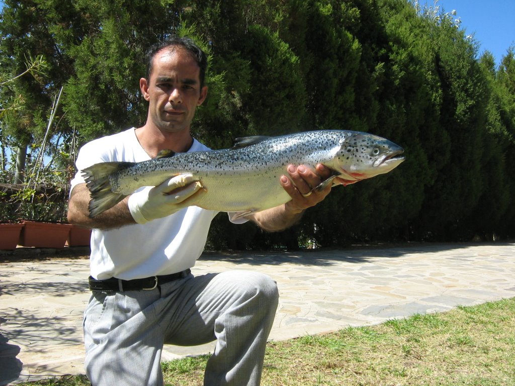 [GIOVANNI+SARDEGNA+2008.jpg]