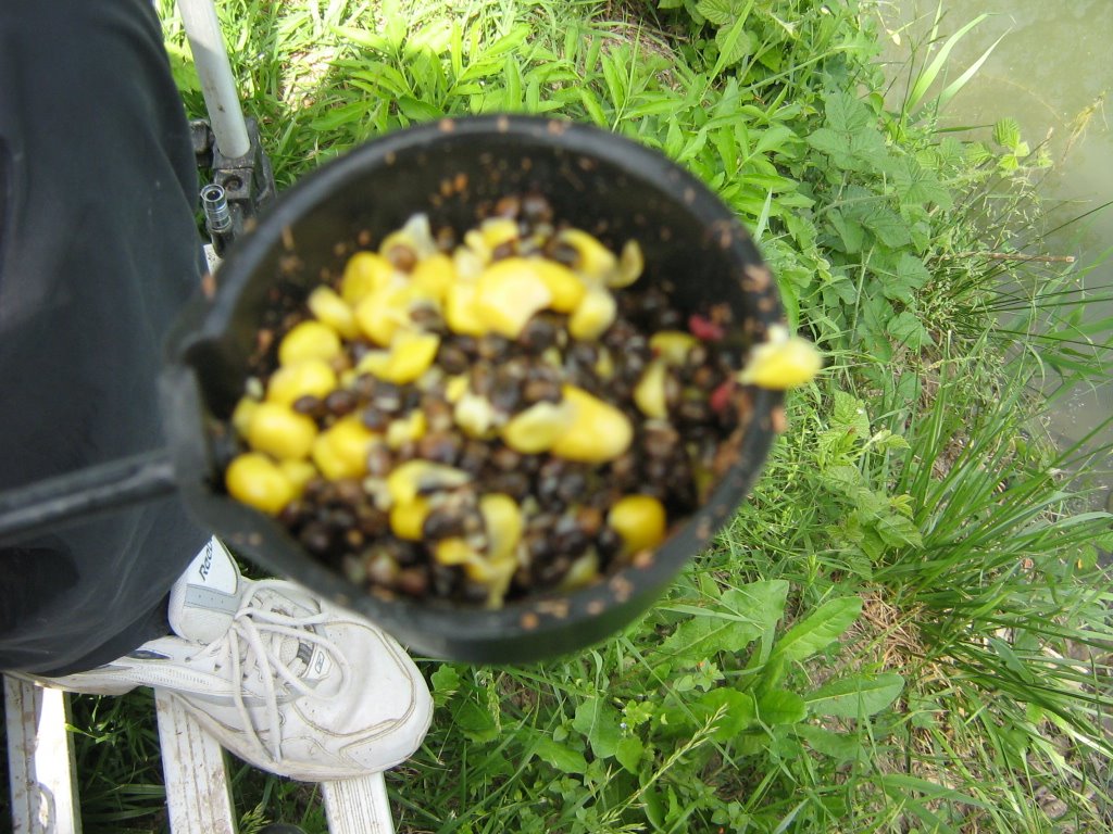 [ostellato+17-05-09+075.jpg]