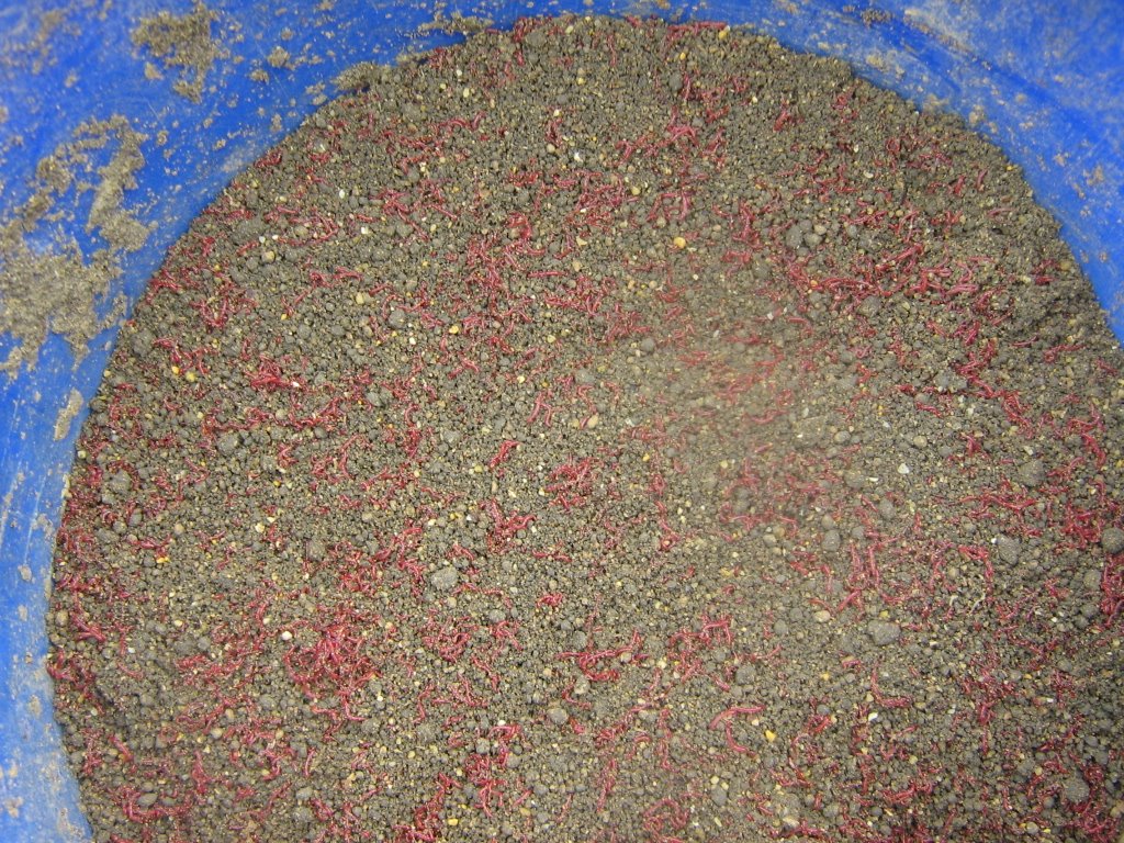 [fissero+31-05-2009+015.jpg]