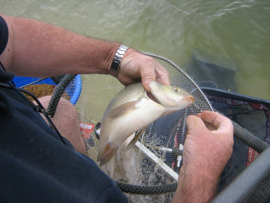 [fissero+31-05-2009+026.jpg]