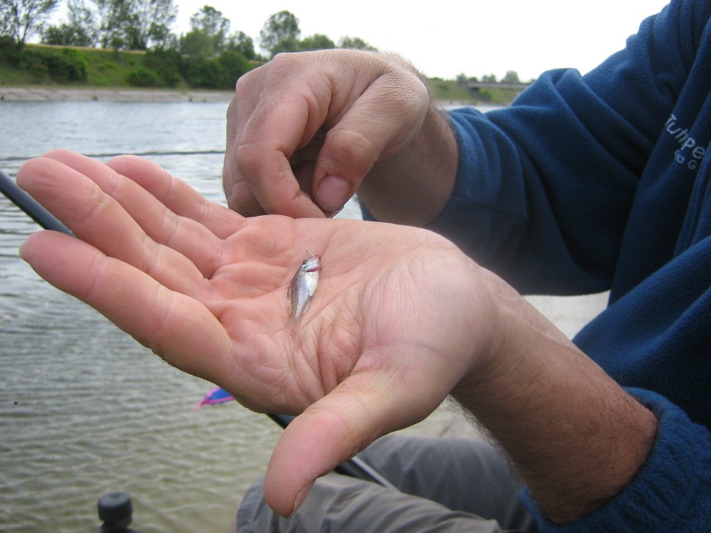 [fissero+31-05-2009+019.jpg]