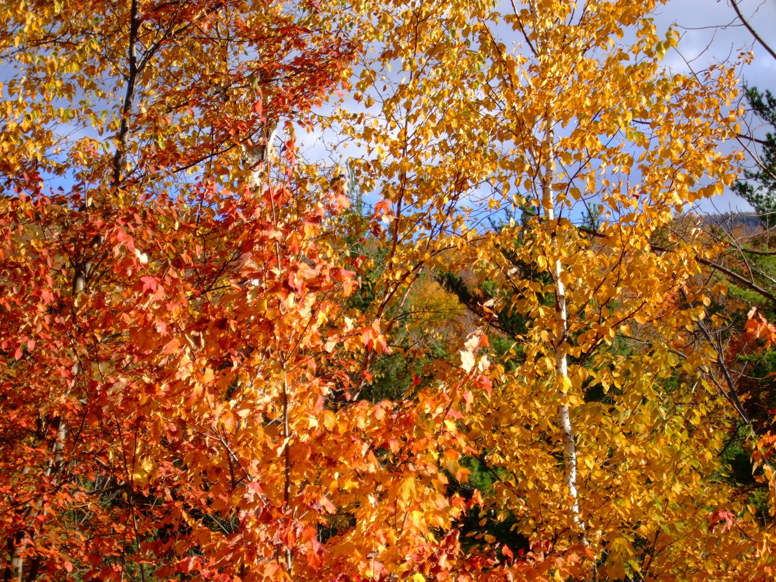 [DSCF1261.JPG]
