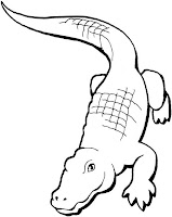 carti colorat crocodili