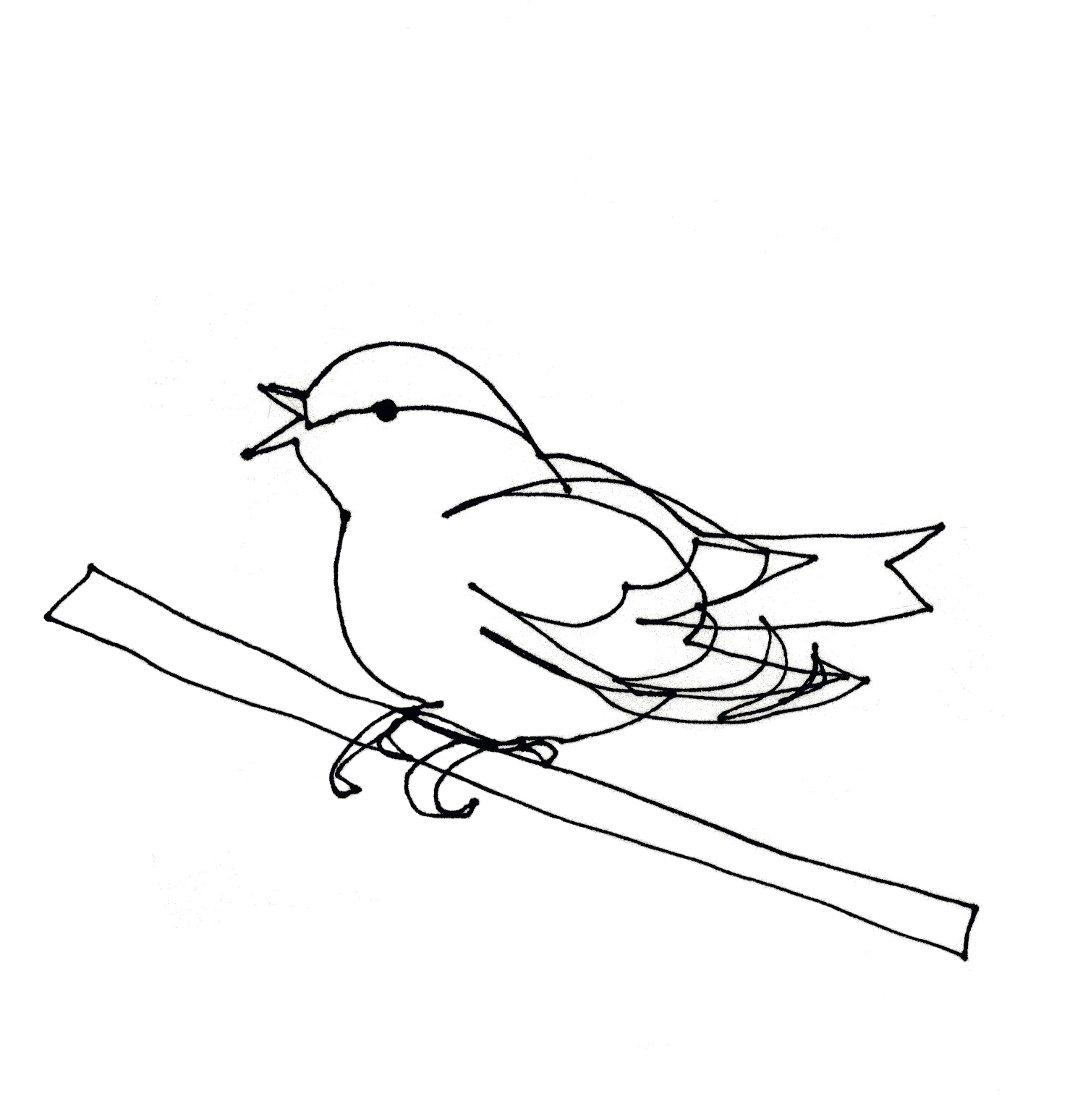 Line Drawing Of Bird : Single line drawings birds of pray