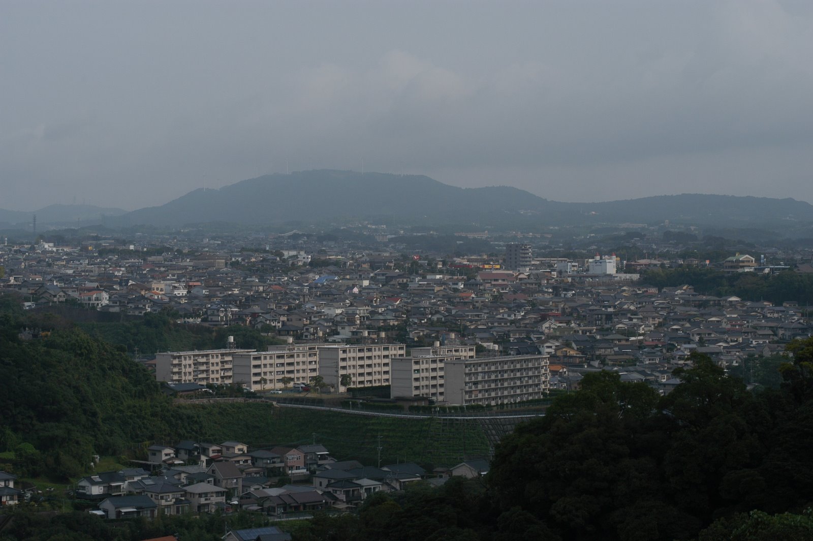 [DSC_0010.JPG]
