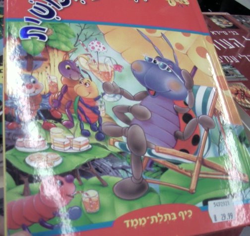 [תמונה_0025.jpg]