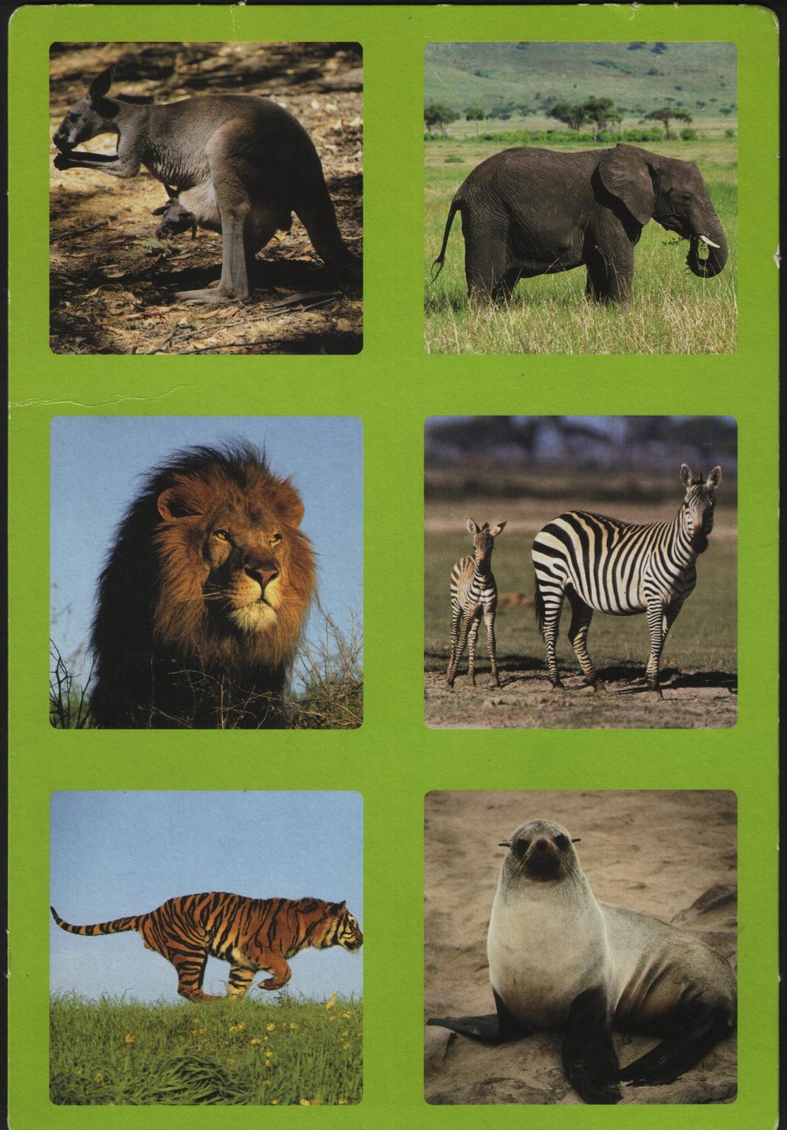 [ИгрыСчёт+019.jpg]