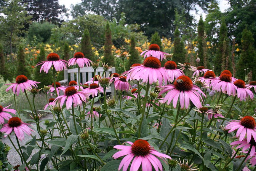Bloomingwriter Gardening in Nova Scotia Winterlesspost favourite