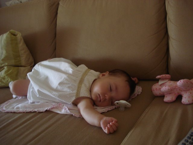 [DSC01496.JPG]