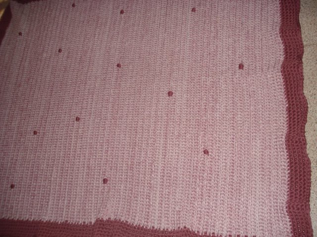 [DSC04091.JPG]
