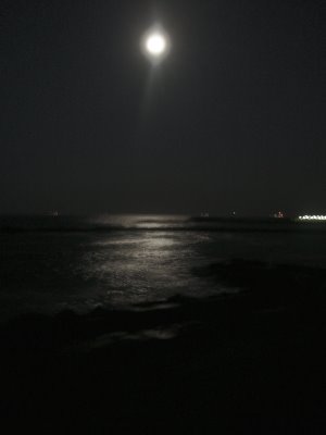 [black+sea+at+night.jpg]