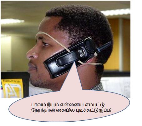 [cell.JPG]